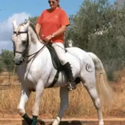 Johanna Beattie Batista Royal School of Equestrian Art Jerez