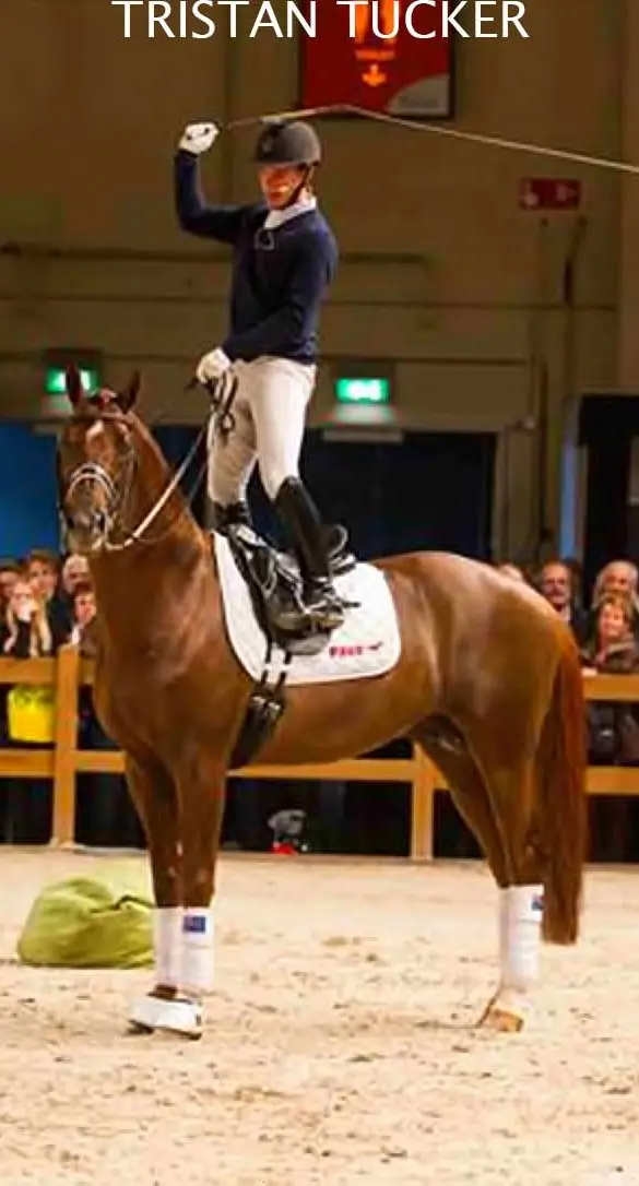 Fin Jopson worked as horse trainer for renowned Australian horsemanship expert Tristan Tucker
