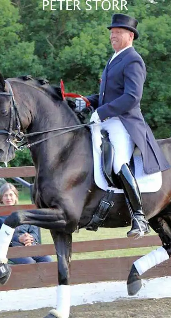 Fin Jopson worked as rider for British Olympic Dressage rider Peter Storr