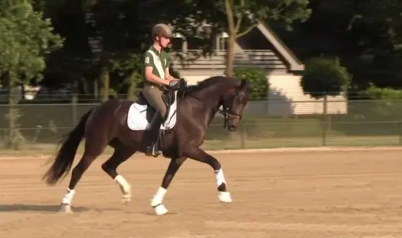 Fin Jopson rides a young horse training for the Olympics