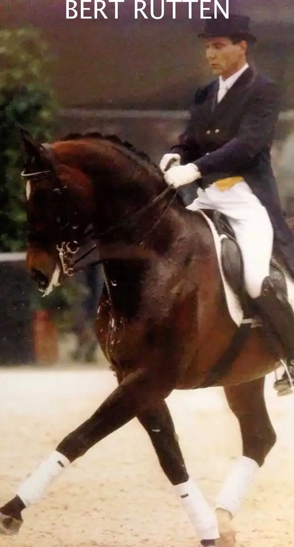 Fin Jopson works with Dutch Olympic dressage rider Bert Rutten