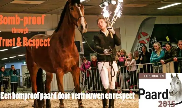 Fin Jopson horse of the year show
