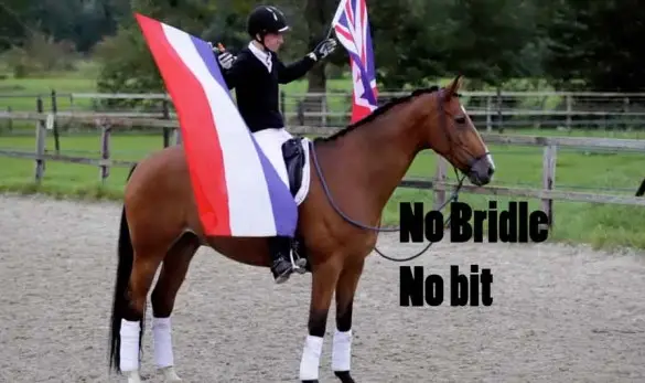 Fin Jopson riding dressage with no bridle bitless