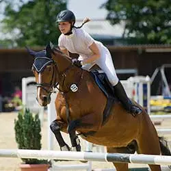 Fin Jopson trains horses for clients in the Netherlands